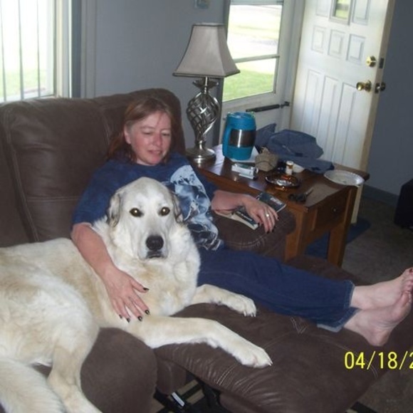 Meet your Posher, Janet - Picture 1 of 1